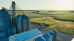 Grain elevator and several grain bins in front of a field.  