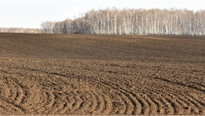 A clean field, recently tilled and free of weeds 