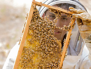 Jake Reisdorf with honey comb
