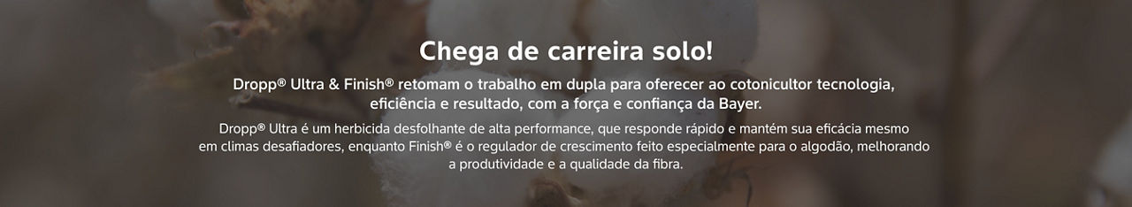 Chega de carreira solo! Dropp® Ultra & Finish® retomam o trabalho em dupla para oferecer ao cotonicultor tecnologia,  eficiência e resultado, com a força e confiança da Bayer. Dropp® Ultra é um herbicida desfolhante de alta performance, que responde rápido e mantém sua eficácia mesmo  em climas desafiadores, enquanto Finish® é o regulador de crescimento feito especialmente para o algodão, melhorando  a produtividade e a qualidade da fibra.