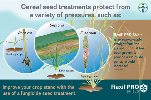 cereal seed treatments protect from a variety of pressures