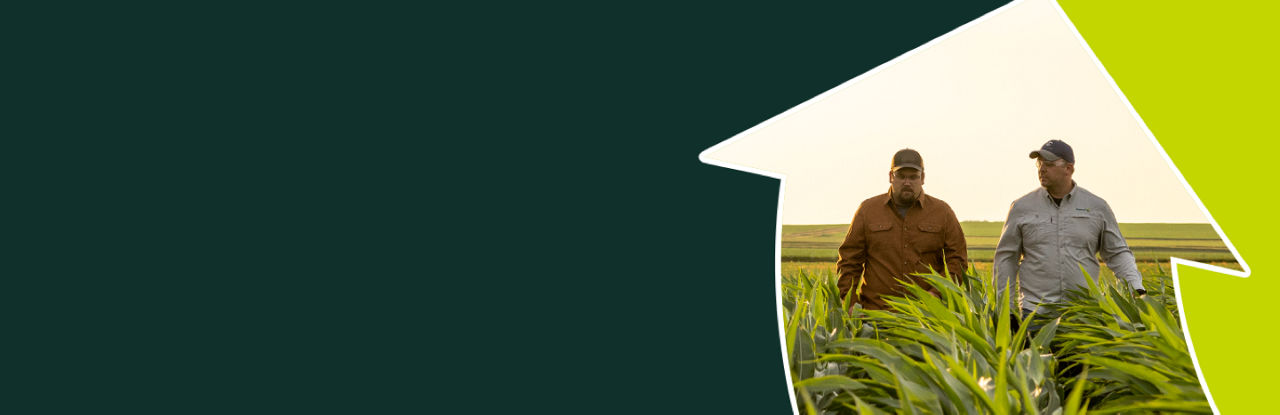 An upward arrow on a green background, with two farmers walking in a corn field framed within
