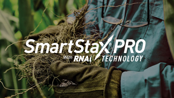 SmartStaxPRO logo overlaid over a pair of gloved hands holding soil and roots