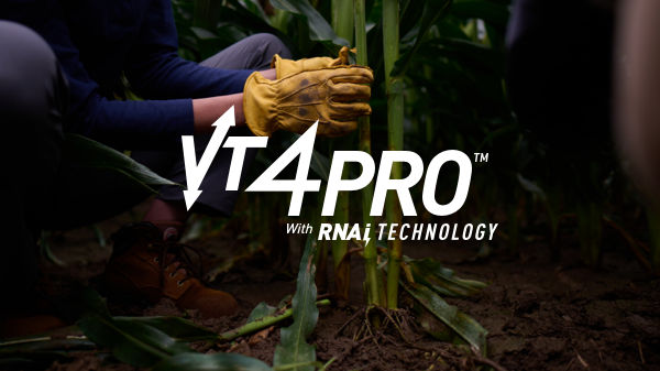 VT4PRO logo overlaid over a close-up of hands wearing gloves inspecting a field of crops
