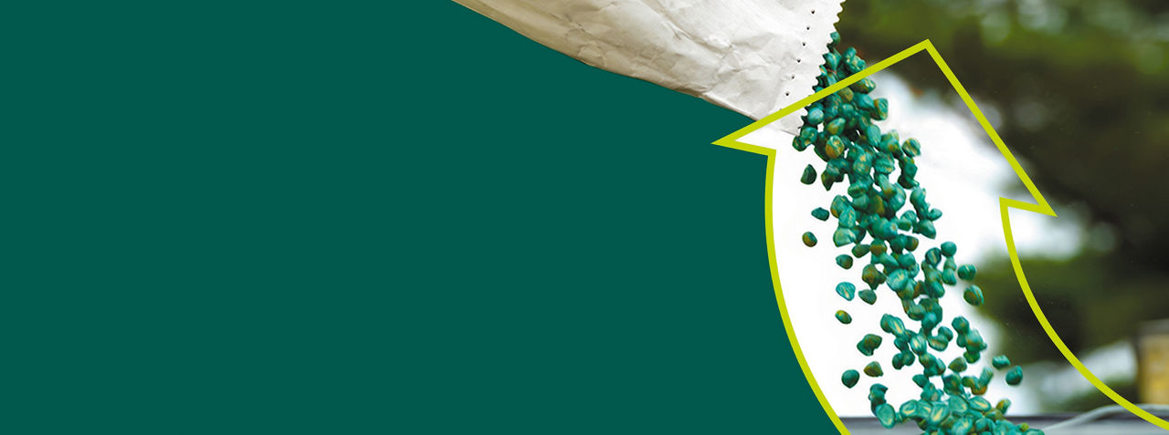 Image of Channel Seed products with a Channel upward arrow overlay