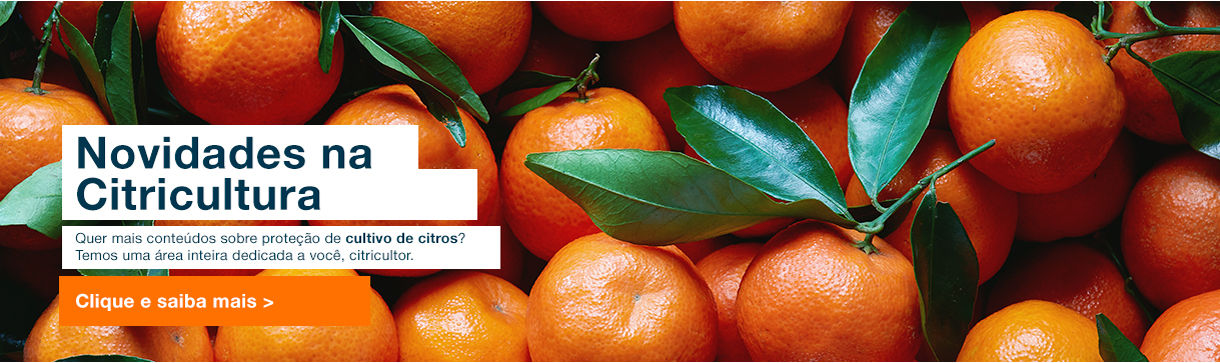 Laranjas ao fundo com a frase “Novidades na Citrocultura” e os dizeres “Quer conteúdo sobre Citros e produtividade? Temos uma área inteira só sobre Citrocultura! É mais uma inovação Bayer para sua lavoura”
