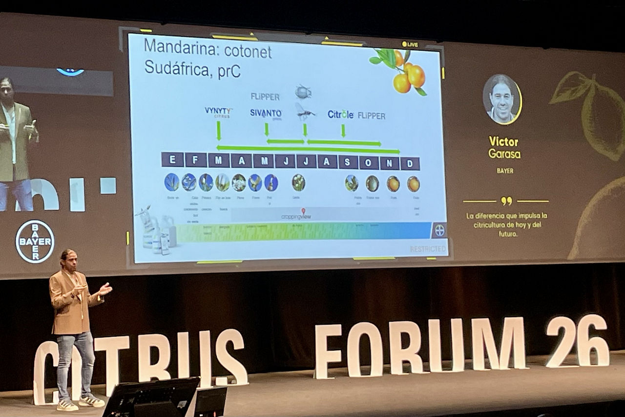 Photo Citrus Forum