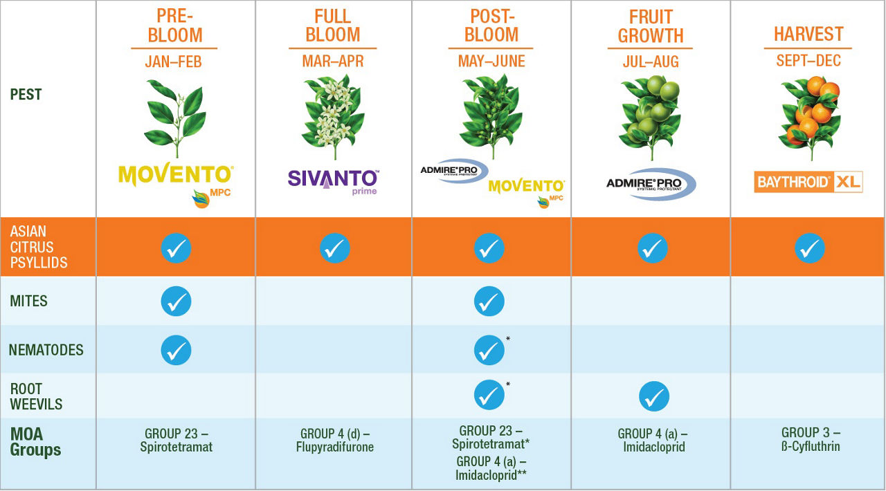 Asian citrus pysllids chart