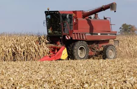 Colheitadeira faz a colheita de milho em um dia ensolarado: equipamento evoluiu muito nas últimas décadas