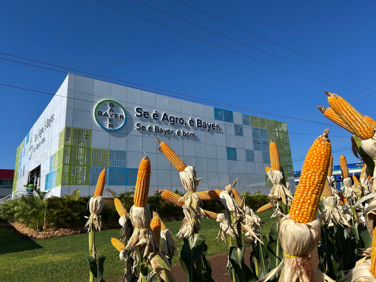 Com novas soluções de proteção de cultivos, Bayer marca presença no Show Rural Coopavel 2026