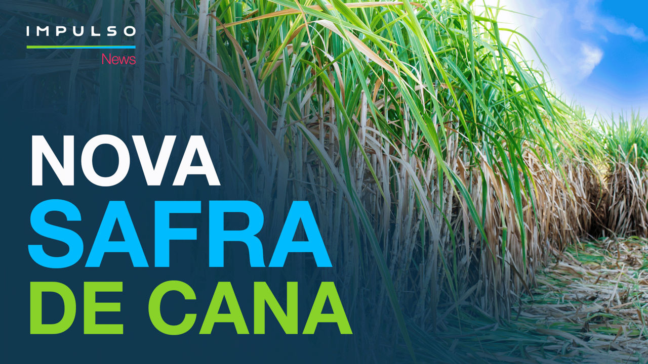 Nova Safra de cana