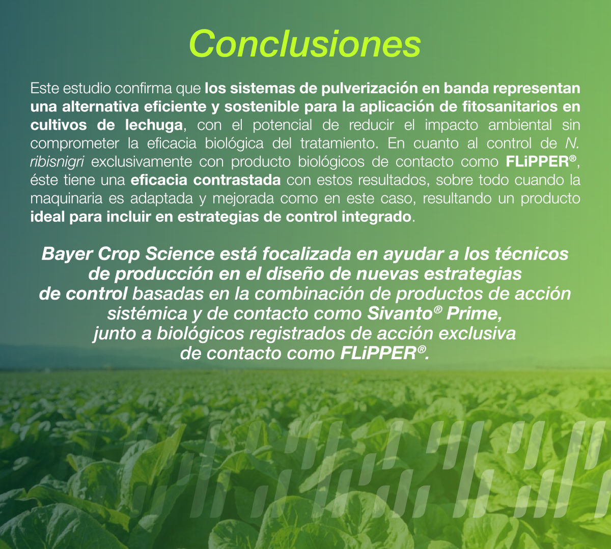 conclusiones del articulo