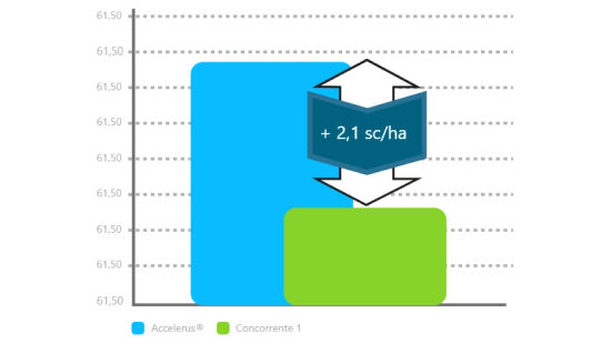 Accelerus® vs. Concorrente 1