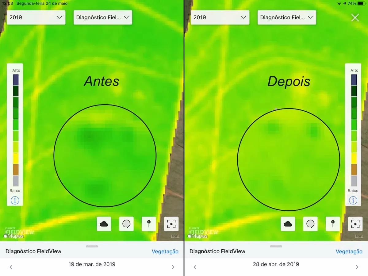 Antes - Mapa do FieldView identifica áreas com infestação de praga; DEPOIS - mapa mostra que manejo na área controlou a praga.