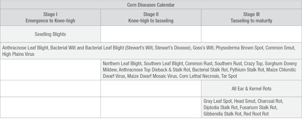Table Shows Corn Disease Calendar by Growth Stage 