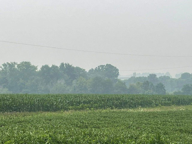 A corn field is seen next to a soybean field in Orrville, Ohio. Hanging over the corn and soybean crops is a cloud of wildfire smoke.