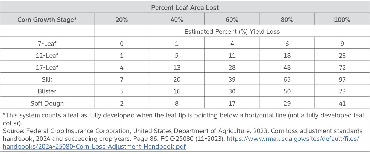 	Chart shows corn yield loss based on percent of leaf defoliation at different corn growth stages