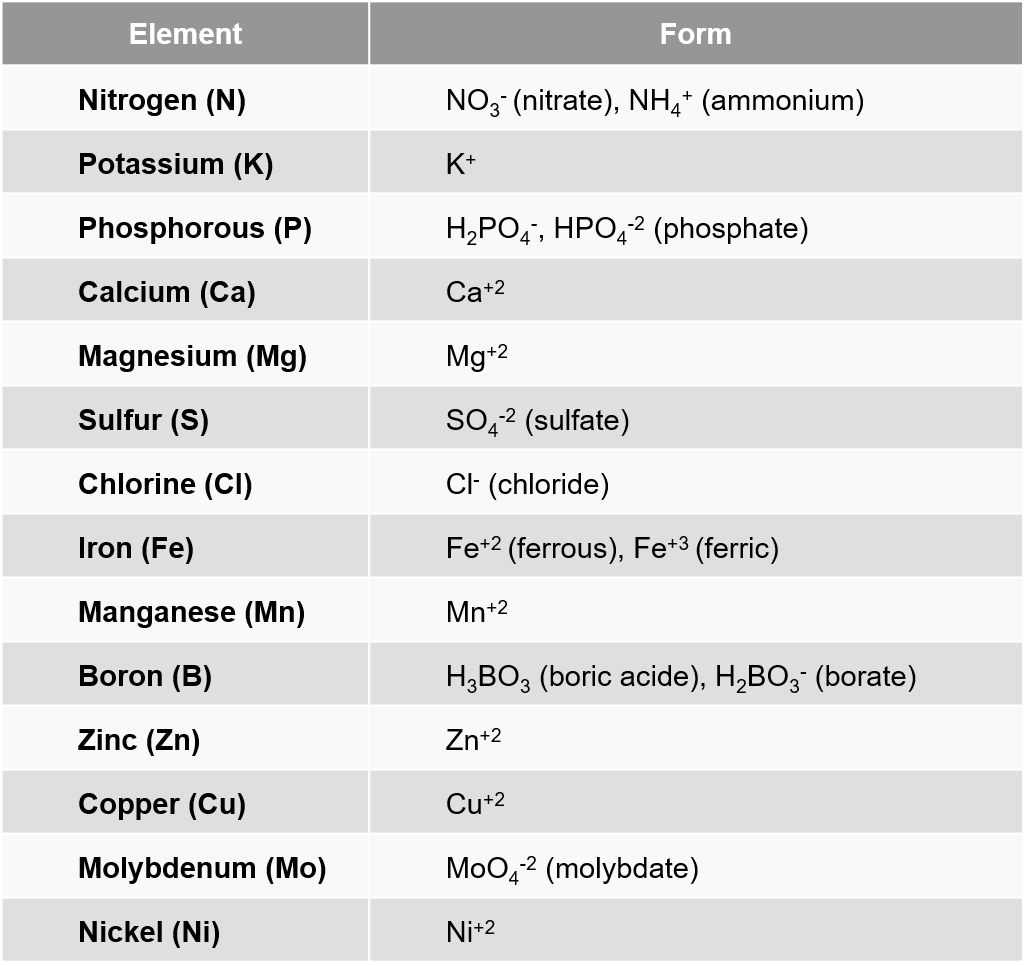 Corn Nutrition 101 Crop Science US