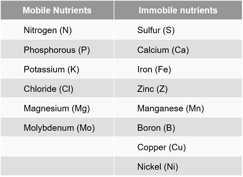 Table 3. from Overview of soil fertility, plant nutrition, and nutrient management, NRCS, Agustin Pagoni, John E. Sawyer, and Antonia P. Mallarina, Department of Agronomy, Iowa State University. 
