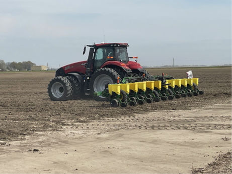 Corn-seeding after Bigham Hipper Roller was used for planting bed preparation.