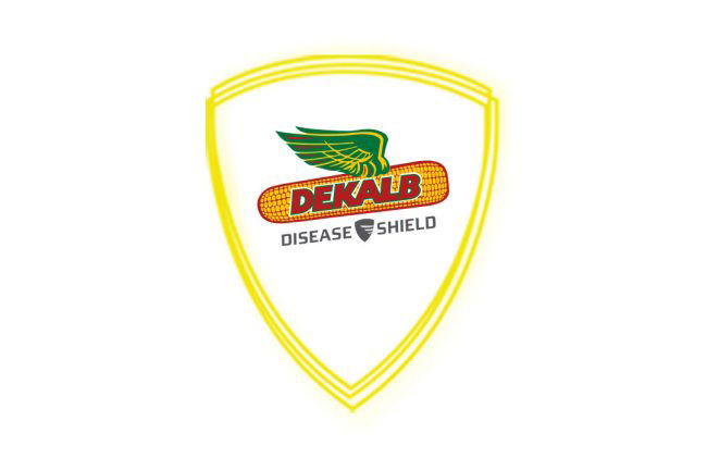Promo Tools of Shield Your Yield