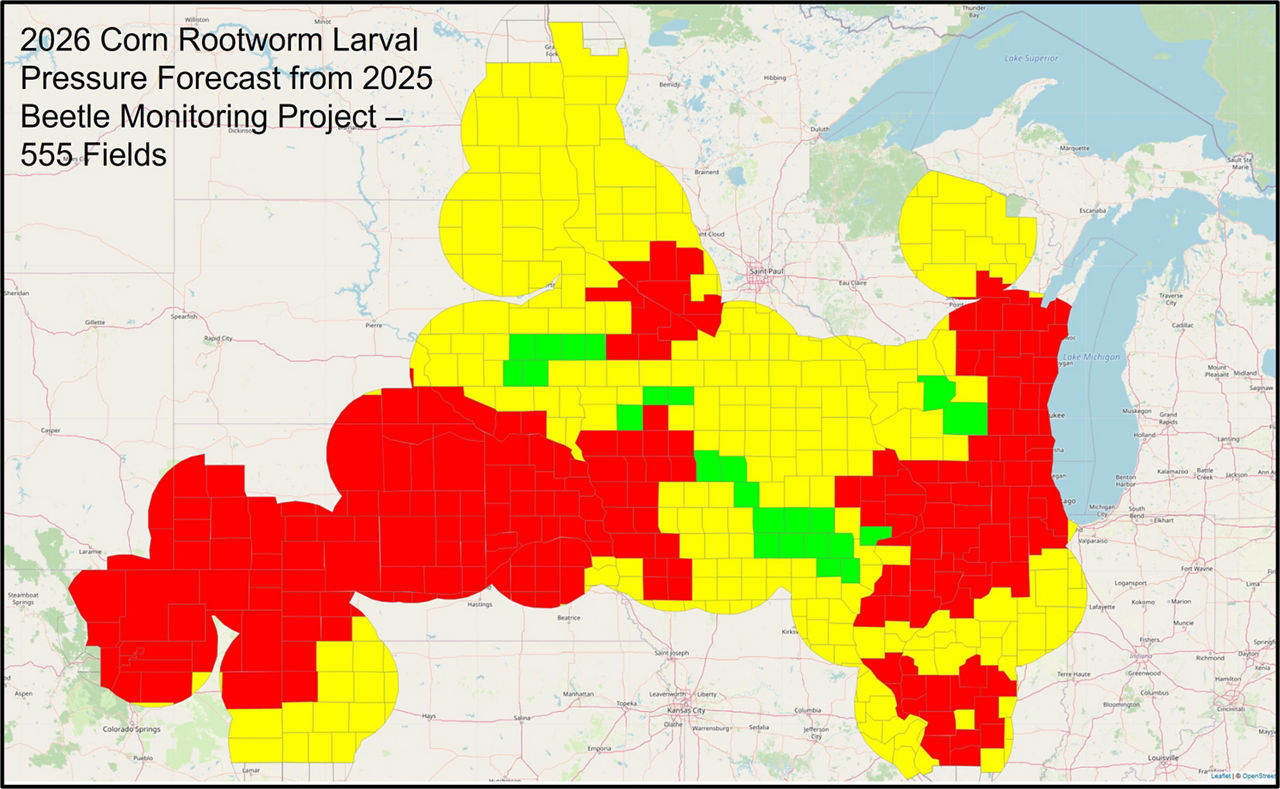 Corn rootworm pressure forecast map for 2026