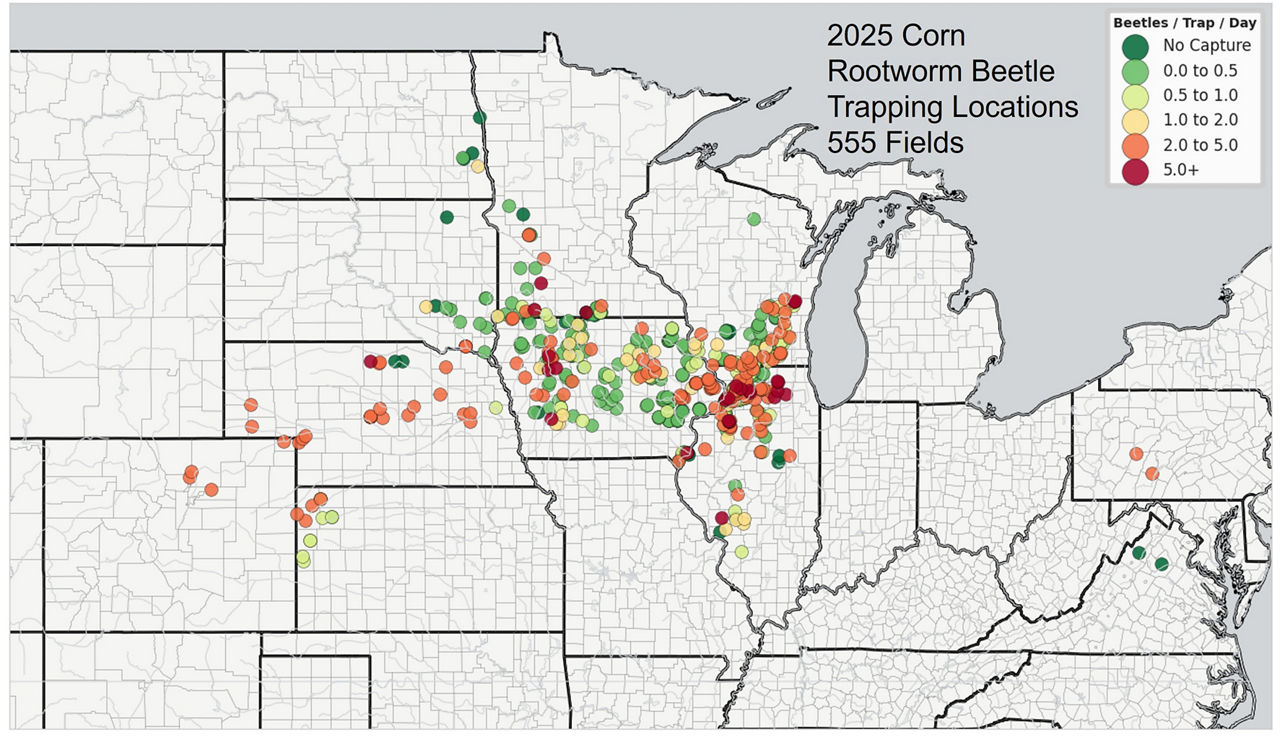 Map of 2025 Pherocon AM corn rootworm beetle sticky trap tracking locations