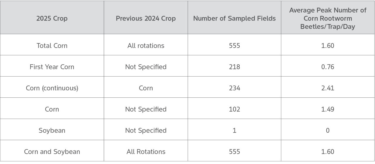 Corn rootworm beetle summary of field sampling and beetle captures per crop rotation 2025. 