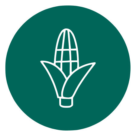 Channel Corn Seed Finder