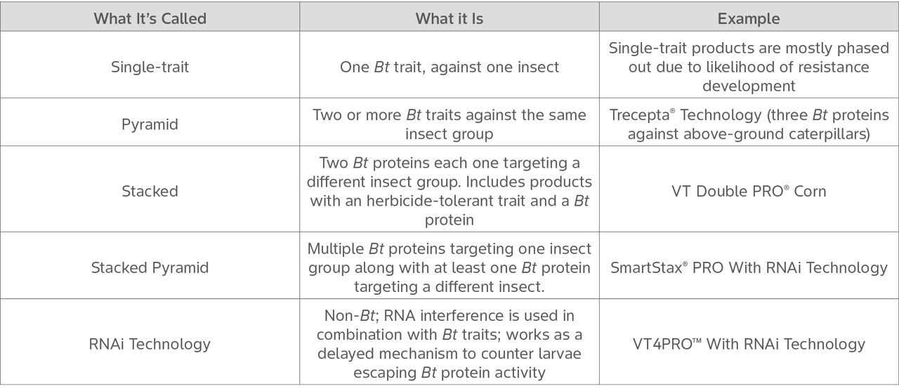 Reference table shows trait terminology, what it is an example of each term, including single-trait, pyramiding traits, stacked traits, stacked pyramiding traits, and RNAi Technology.
