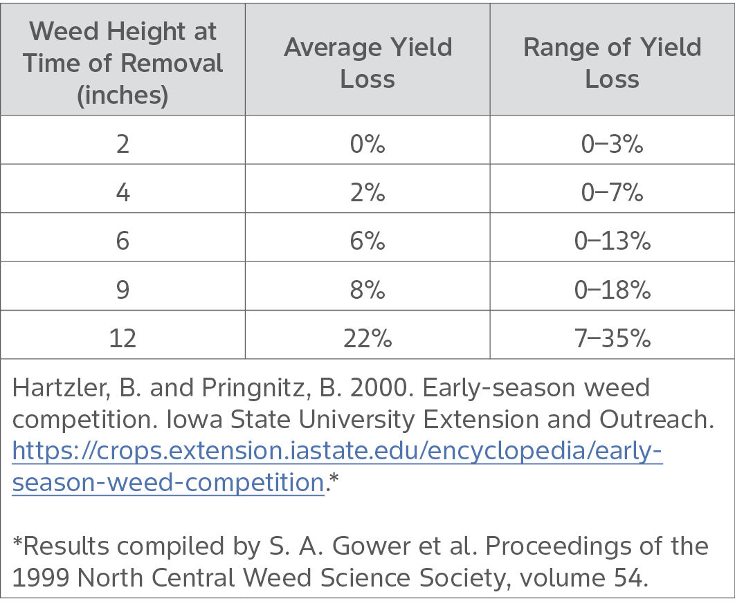 Table showing how weed height impacts corn yield loss
