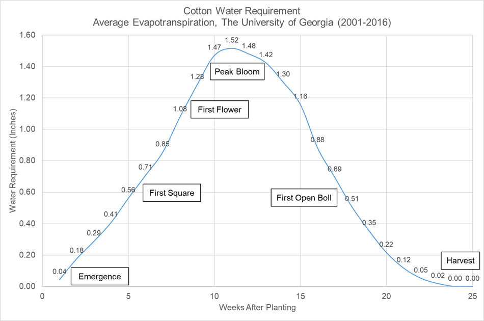 Cotton Water Requirements and how that varies across corn growth stages.