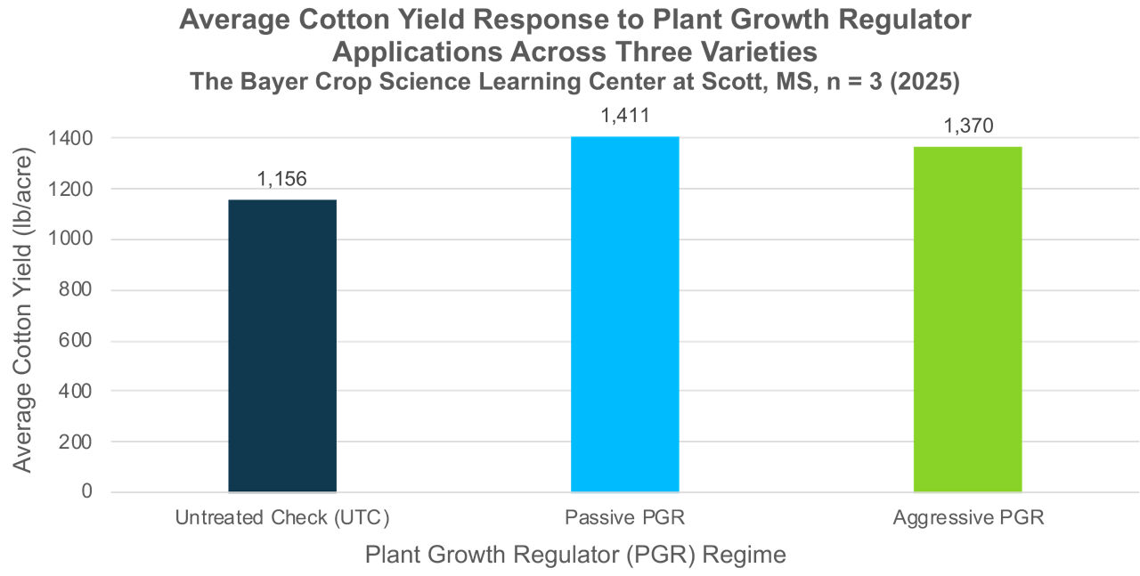 Graph showing cotton yield response to passive plant growth regulator, aggressive PGR, and untreated plants
