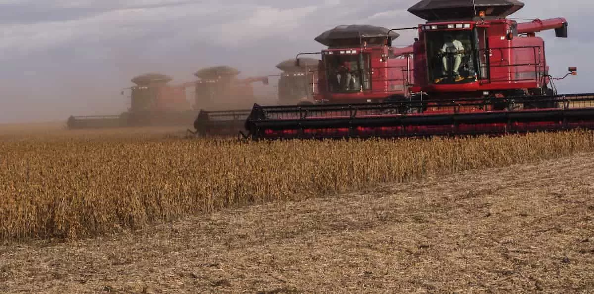 Máquina agrícola trabalhando em plantação.