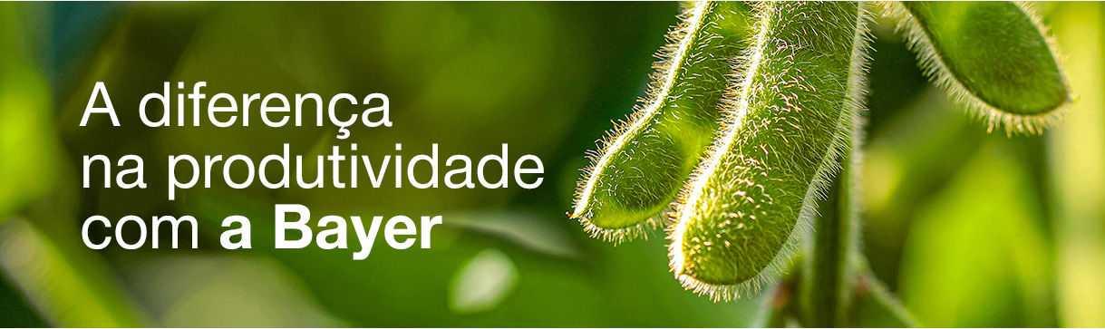 Composição do produto, formulação inovadora