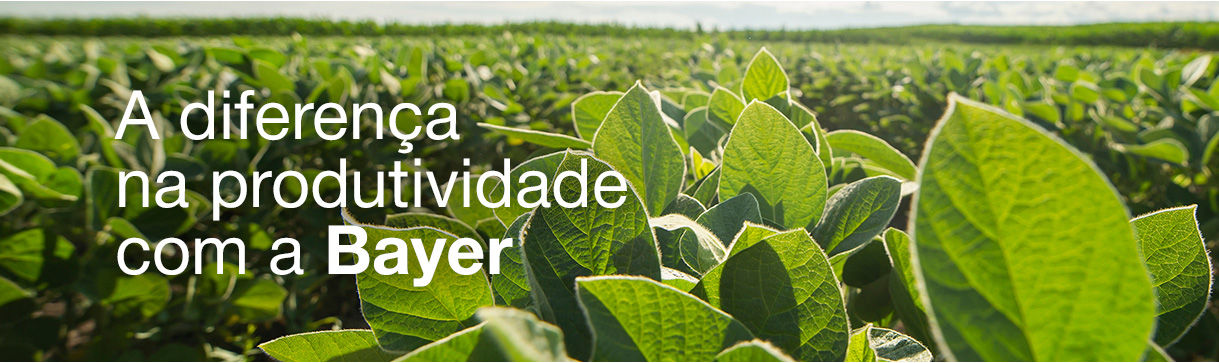 Composição do produto, formulação inovadora