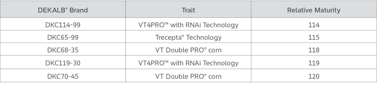 Table showing five DEKALB hybrid corn seeds with multiple corn traits, and relative maturity in a testing matrix for this research report