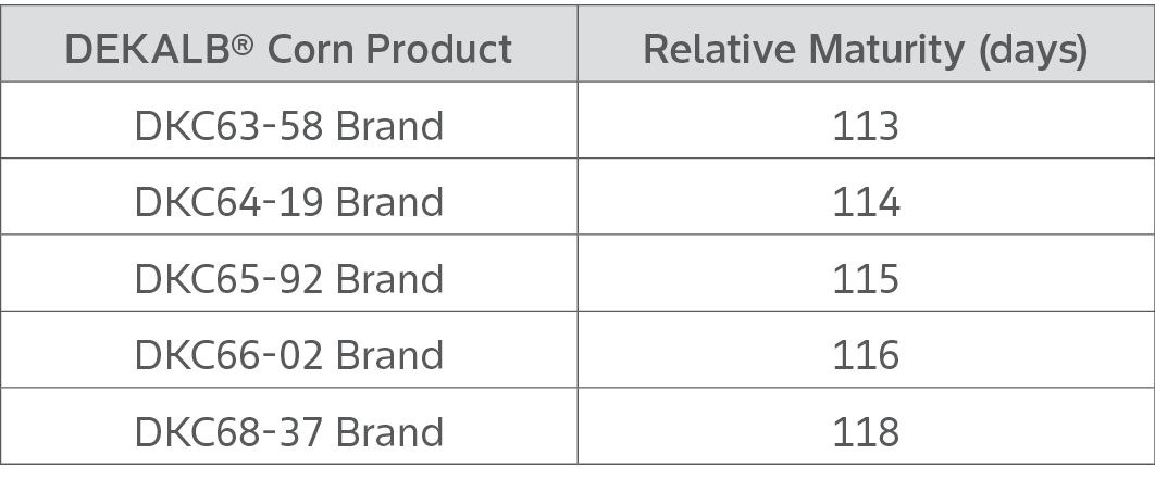 Table showing five DEKALB Corn Seed products with different relative maturities for the Research Report