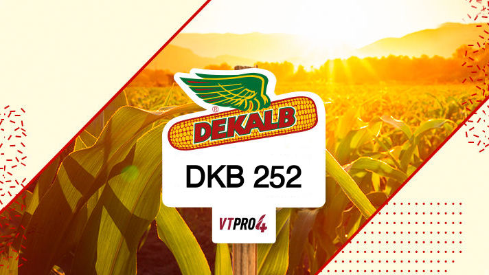 DKB 252 PRO4