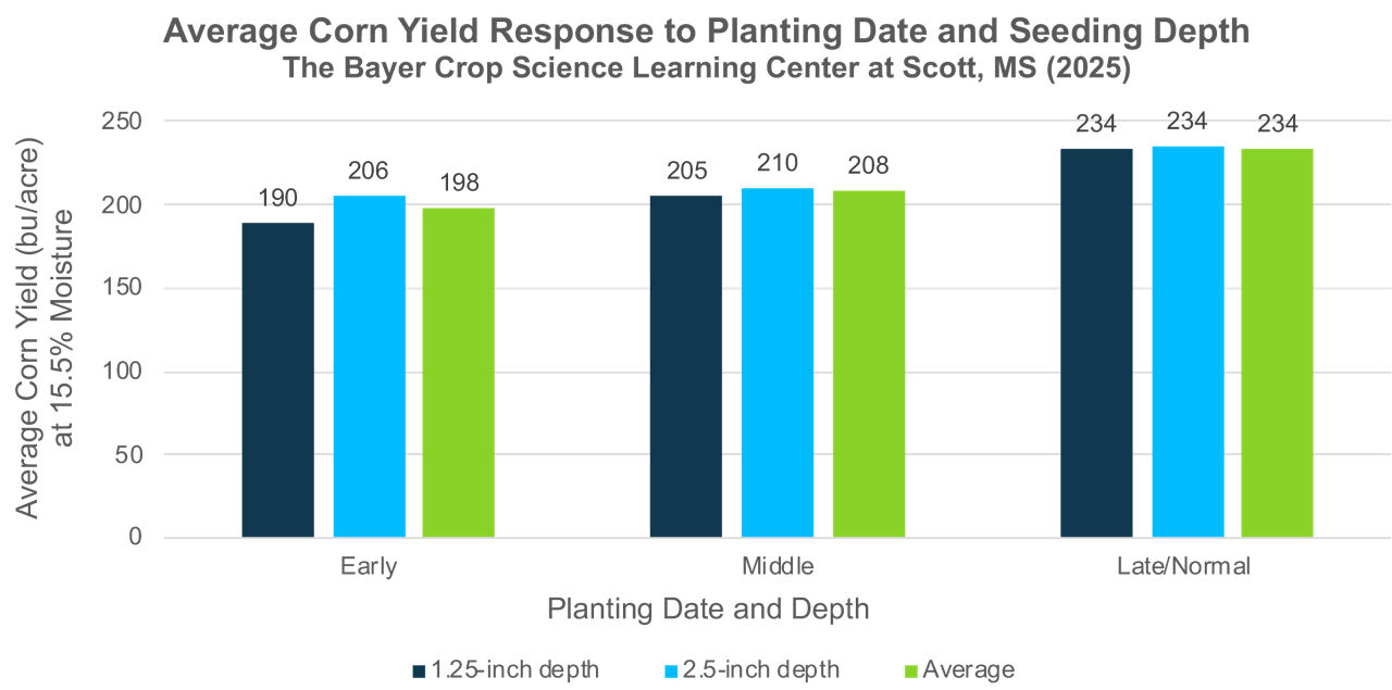 Chart showing corn yield response performance for two corn planting depths for two DEKALB corn seed products where corn planting was done days apart with early, middle, and late planting dates.