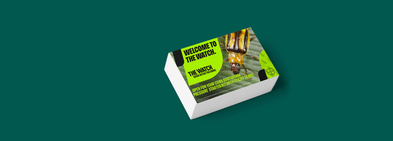 A rectangular block on a green background with “The Watch” promotion and a bug
