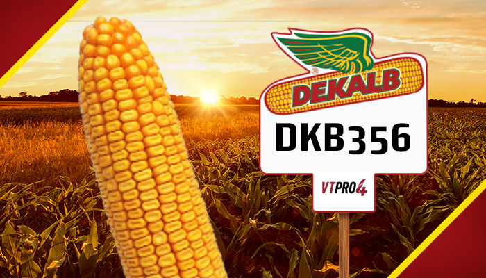 Dekalb Agro Bayer