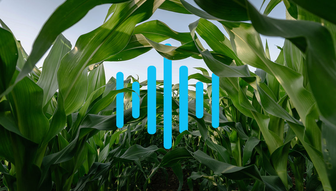 Healthy corn crops with spectrum icon representing Delaro Complete broad-spectrum fungicide protection
