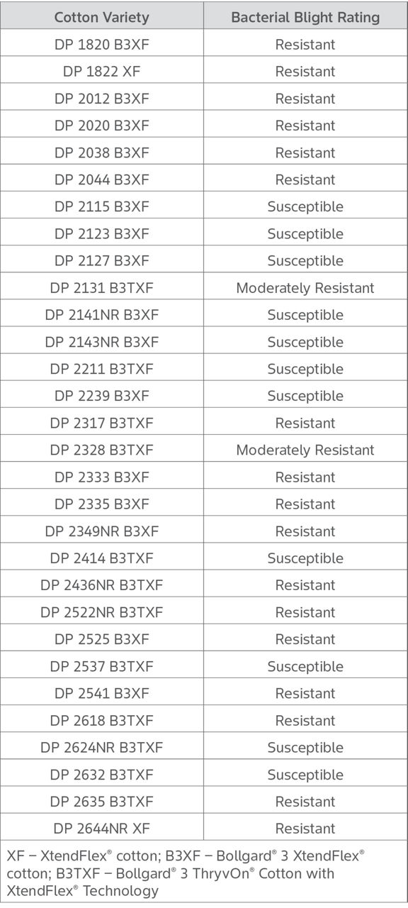 Table shows Deltapine Cotton Varieties and their bacterial blight rating for multiple cotton products.