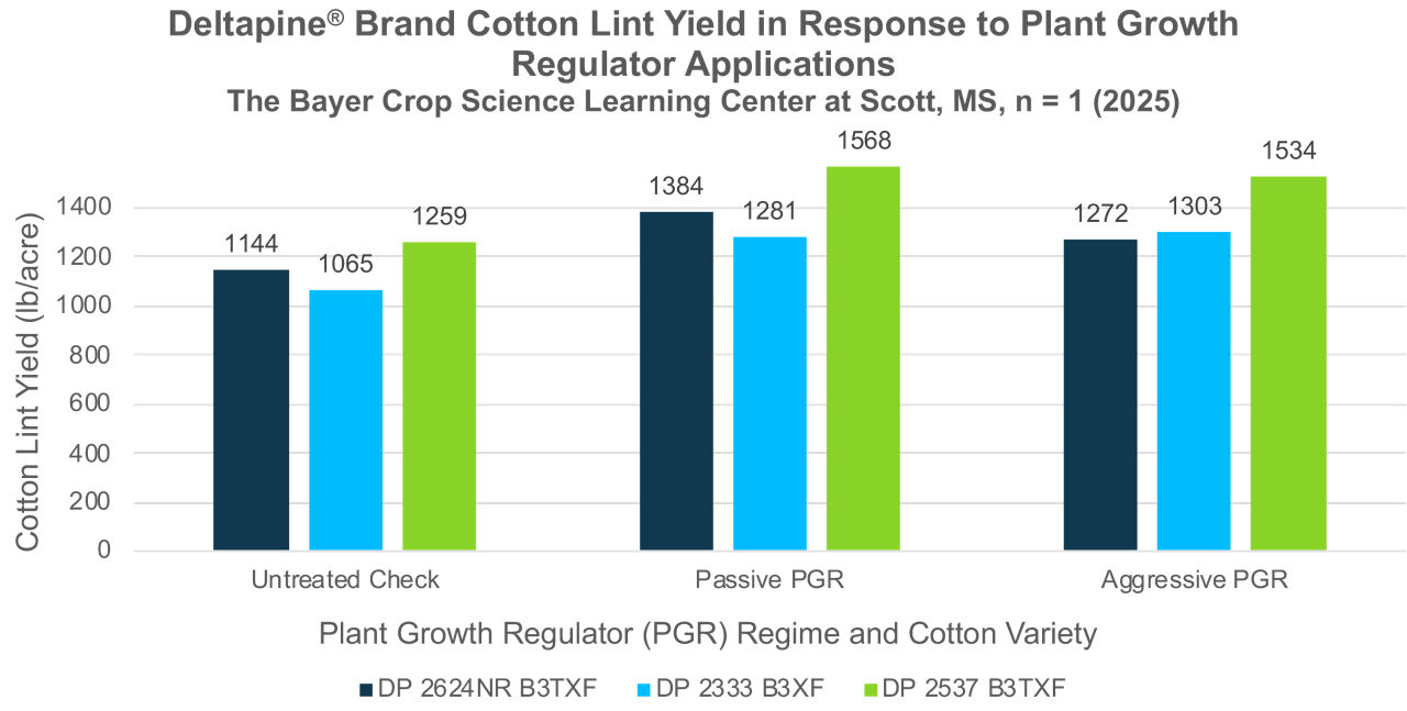 Graph showing 3 Deltapine cotton varieties and cotton lint yield based on passive plant growth regulator, aggressive PGR, and untreated plants