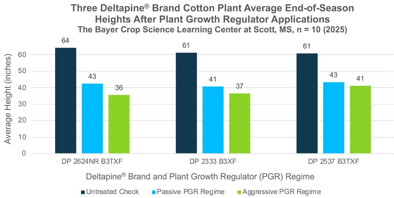 Graph showing 3 Deltapine cotton varieties and cotton plant height based on passive plant growth regulator, aggressive PGR, and untreated plants