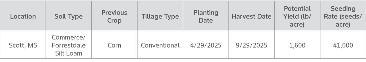 deltapine-cotton-seed-evaluation-field-characteristics-background-cotton-plant-growth-regulator-pgr-1414_340645