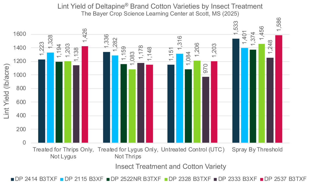 Four Deltapine cotton seed varieties lint yield based on insect treatment performance. Includes Cotton Thrips Only, Lygus Only, Untreated Control (UTC), and Spray by threshold. 