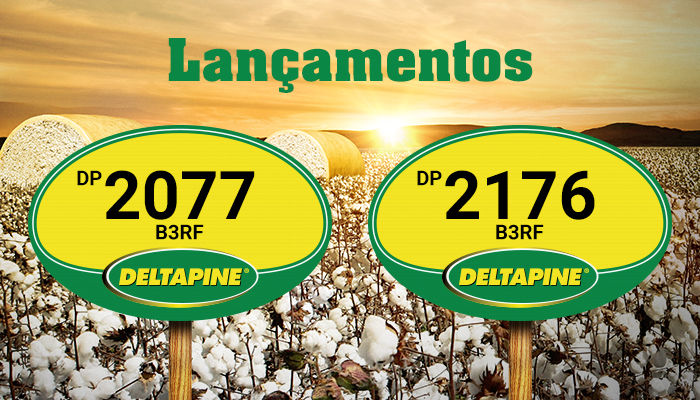 Lançamentos