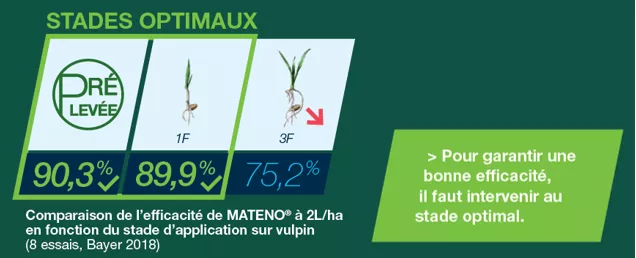 des-lautomne-prochain-je-seme-je-desherbe-des-la-prelevee-avec-mateno_Rich_Text_Editor_2.png